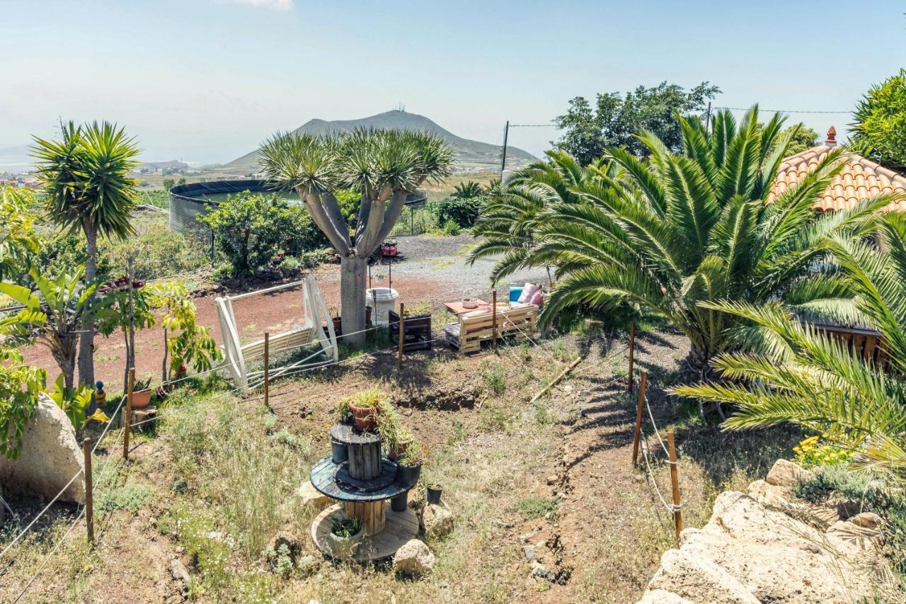 Apartamento B Armonia Rural Apartment Granadilla De Abona Exterior photo